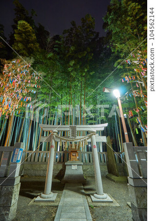 八幡的藪紫羅點亮市川市 八幡的藪紫羅點亮市川市 104562144
