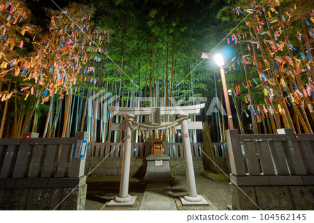 八幡的藪紫羅點亮市川市 八幡的藪紫羅點亮市川市 104562145