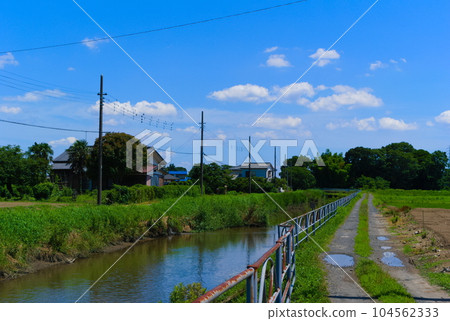 埼玉縣吉川市大場川沿岸風景 2023 年 7 月 104562333