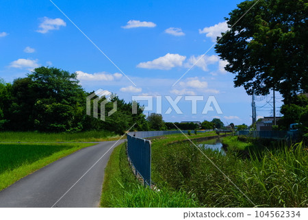 埼玉縣吉川市大場川沿岸風景 2023 年 7 月 104562334