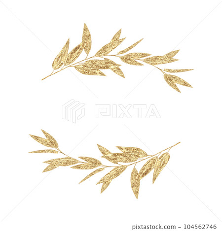 Eucalyptus leaves and branches golden frame isolated on white background 104562746