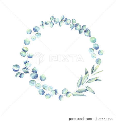 Eucalyptus leaves and branches teal green round frame isolated on white background Eucalyptus leaves and branches teal green round frame isolated on white background 104562790