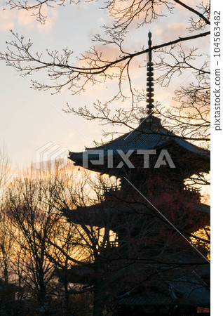 京都櫻花花蕾和五層寶塔染上冬日的夕陽 京都櫻花花蕾和五層寶塔染上冬日的夕陽 104563482