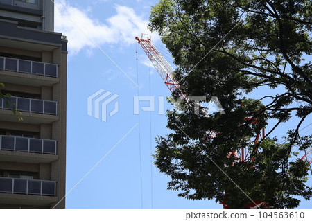 Cityscape scenery with blue sky and white clouds, buildings, cranes and green leaf trees 104563610