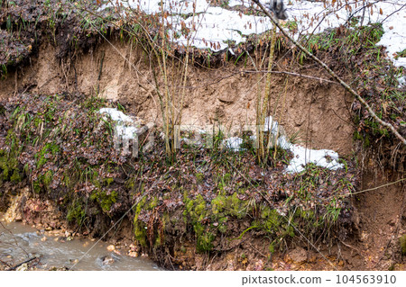 A small landslide on the clay slope of the ravine due to water washout A small landslide on the clay slope of the ravine due to water washout 104563910