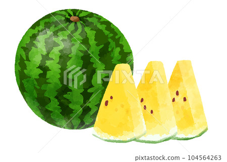 Yellow watermelon illustration hand drawn watercolor style 104564263