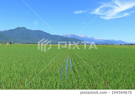 初夏北阿爾卑斯山麓 初夏北阿爾卑斯山麓 104564678