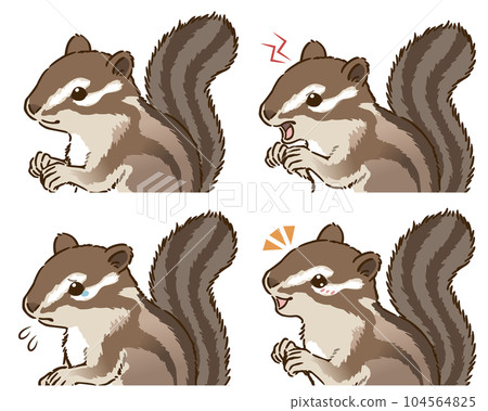 Chipmunk emotions set Chipmunk emotions set 104564825