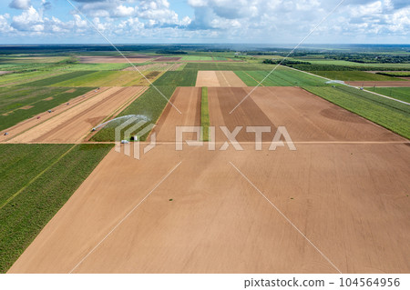 Aerial view of planted and unplanted agricultural fields in Homestaed, Florida. 104564956