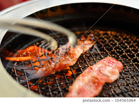 加勒比肉 加勒比肉 104565064