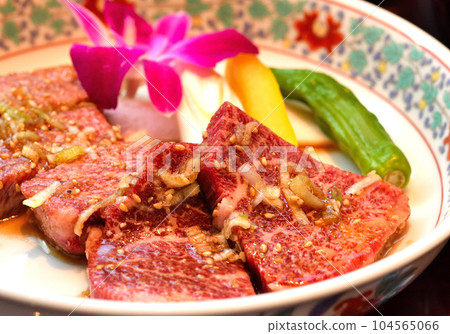 里脊肉和魚片拼盤 里脊肉和魚片拼盤 104565066