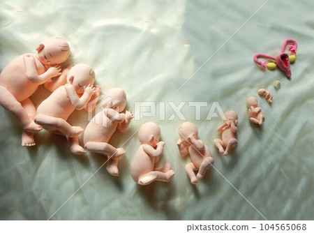 Understand your baby's development and growth by month of pregnancy 104565068