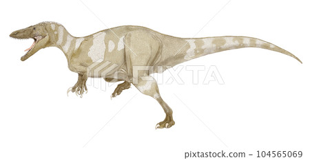 A megalaptoran theropod, claws on the forelimbs, the southernmost dinosaur discovered in South Africa A megalaptoran theropod, claws on the forelimbs, the southernmost dinosaur discovered in South Africa 104565069