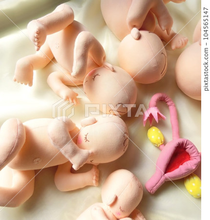 Cologne, a warm baby doll that is always said to be cute 104565147