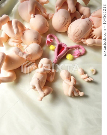 一個小生命的強大成長讓我感動。 一個小生命的強大成長讓我感動。 104565218