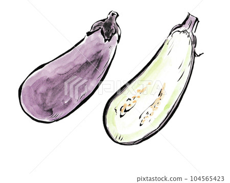 Mapo Eggplant and Grilled Eggplant with Whole Summer Vegetables and Cut Eggplant 104565423