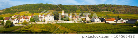 Image of Saint-Aubin, Burgundy - french village with famous vineyards 104565458