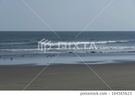 房總半島/九十九里海灘海岸 房總半島/九十九里海灘海岸 104565623
