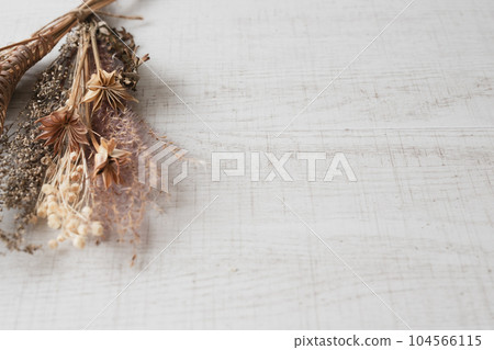 秋季乾花自然背景素材 104566115
