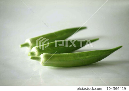fresh okra fresh okra 104566419