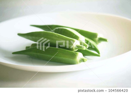fresh okra fresh okra 104566420