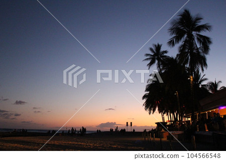 Hawaiian scenery Hawaiian scenery 104566548