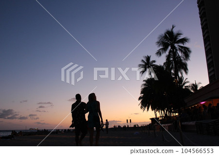 夏威夷的風景 104566553