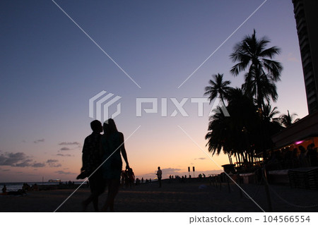 夏威夷的風景 104566554