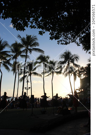 Hawaiian scenery 104566571