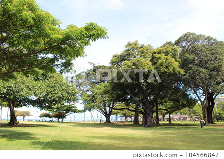 Superb view of Hawaii Superb view of Hawaii 104566842