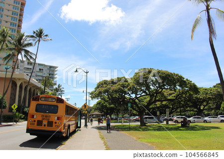 Superb view of Hawaii Superb view of Hawaii 104566845