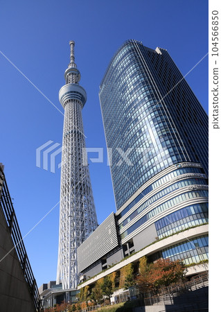 東京晴空塔和晴空街道的風景 104566850