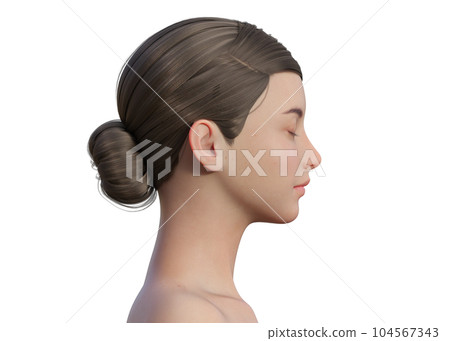 3D 模型女性閉著眼睛面向右側的側視圖 104567343