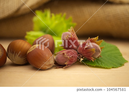 Fresh raw unshelled hazelnut on green leave 104567581