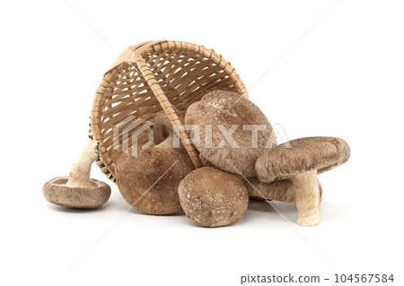 Fresh shiitake mushrooms in wicker basket over white 104567584