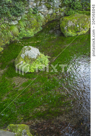 A place where pure water flows Fuse no Shimizu, Tottori Prefecture A place where pure water flows Fuse no Shimizu, Tottori Prefecture 104568848