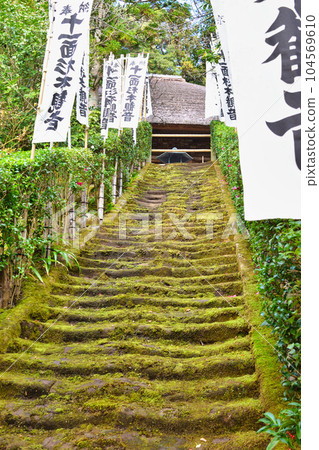 鎌倉杉本寺美麗的苔蘚樓梯 鎌倉杉本寺美麗的苔蘚樓梯 104569610