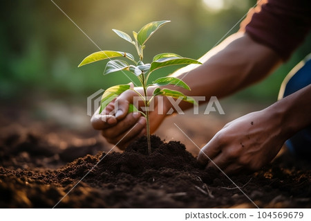 Gardeners plant trees or seedlings on blurred green background forest. Generative AI. Gardeners plant trees or seedlings on blurred green background forest. Generative AI. 104569679