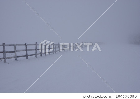 暴風雪中聖仙寮前的蒔籬 暴風雪中聖仙寮前的蒔籬 104570099