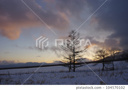 從雪原看嚴冬南阿爾卑斯山的夜景 從雪原看嚴冬南阿爾卑斯山的夜景 104570102