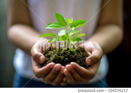 Girl's hand holding a small green sprout Girl's hand holding a small green sprout 104570217