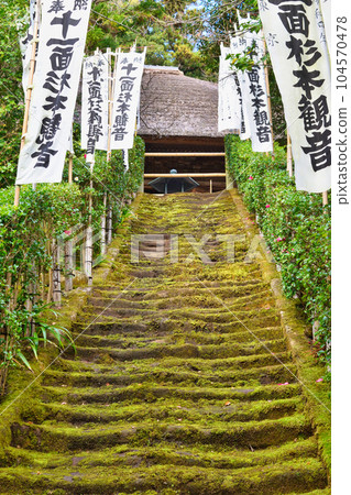 鎌倉杉本寺美麗的苔蘚樓梯 104570478