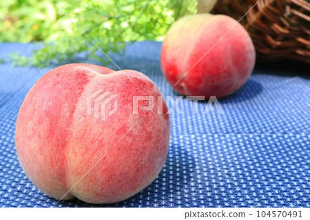 Freshly picked seasonal fruit peach 104570491