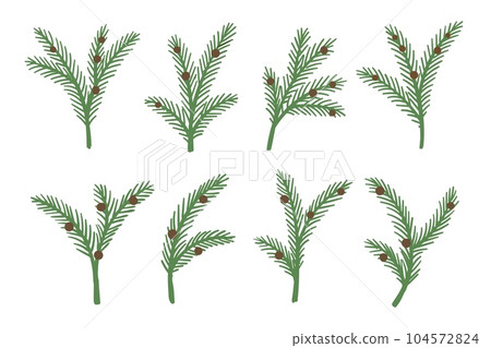 Large Set Different Green Pine Branches Isolated Christmas Decor Green  Stock Vector by ©fosonya 204387652