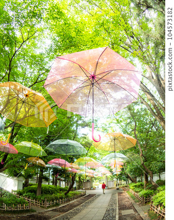 Scenery of early summer taken with a diagonal fisheye lens Umbrella art coloring the promenade 104573182