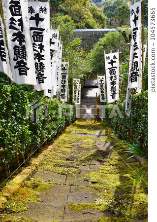 Kamakura Sugimoto Temple beautiful moss stairs 104573665
