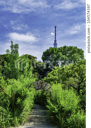 都立花園、向島百花園、萩隧道、國家指定名勝 104574397