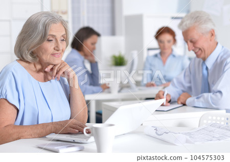 senior business woman working in light office senior business woman working in light office 104575303