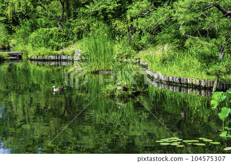都立花園 向島百花園 國家指定名勝 都立花園 向島百花園 國家指定名勝 104575307