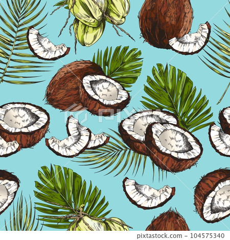 Tropical summer seamless pattern with coconuts vintage vector illustration. Tropical summer seamless pattern with coconuts vintage vector illustration. 104575340